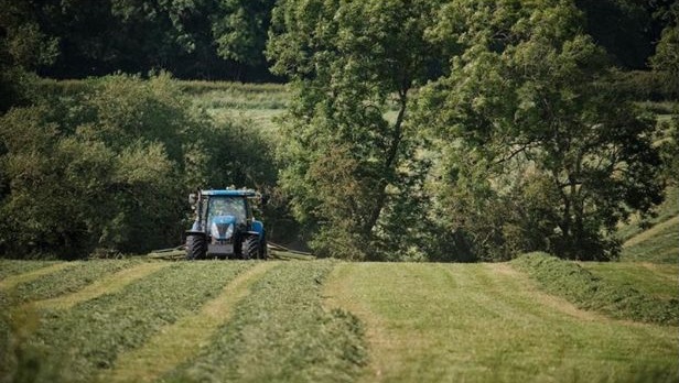 Tractor working in long rows of cut grass in a field bordered by trees.